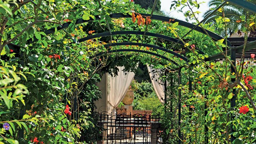 Tonnelle Les Cèdres