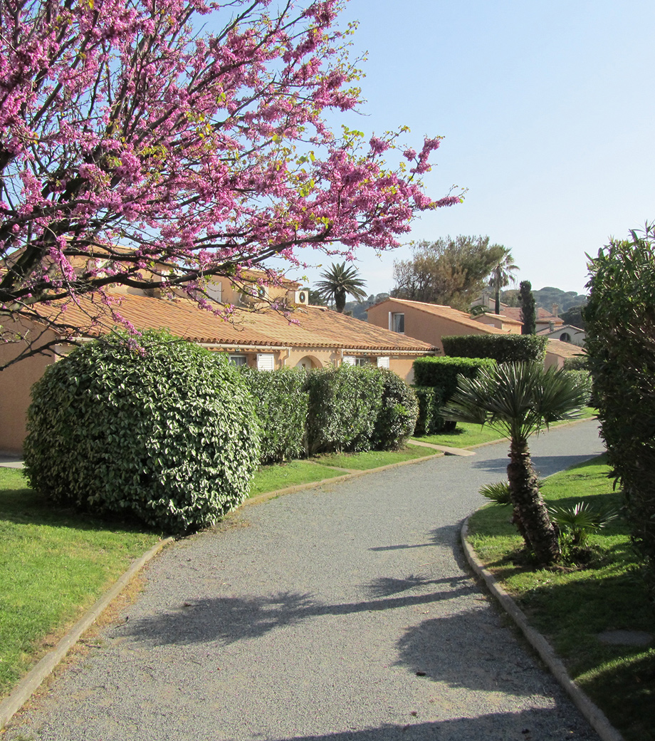 Vacances sur la côté d'Azur