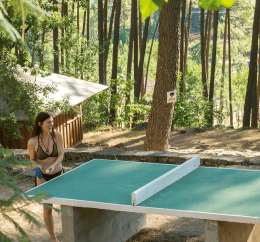 Ping pong VTF La Croix de Vinchannes