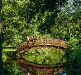 Parc en Auvergne VTF